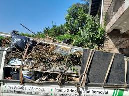 Best Commercial Junk Removal  in Brownville, NJ