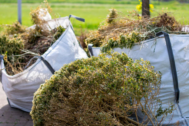 Best Same-Day Junk Removal Services  in Brownville, NJ